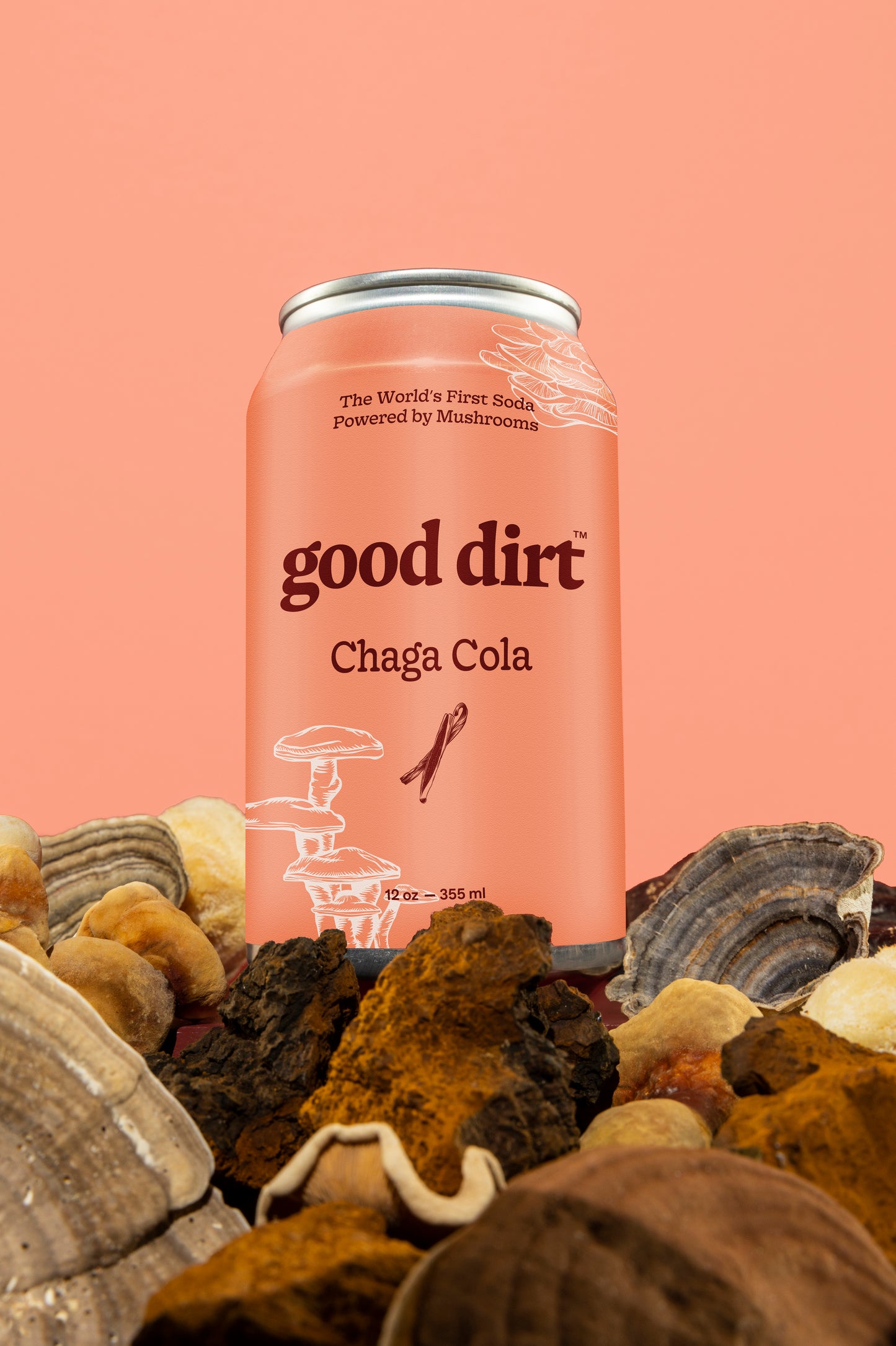 Chaga Cola (6-Pack)
